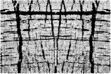 Siyah beyaz dokusunda sıkıntılı bir arka plan. soyut vektör illüstrasyonu.