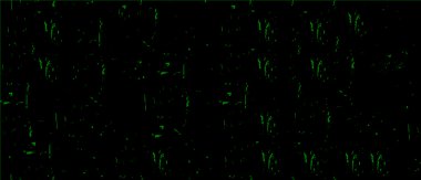 Çirkin poster tasarımı. Dokusu olan siyah beyaz arkaplan.