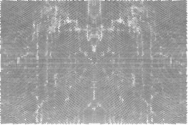 Soyut tek renkli arkaplan. Siyah ve beyaz vektör çizimi, desen  