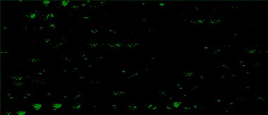 Grunge üst üste biniyor. Soyut siyah-beyaz vektör arkaplanı. Çatlak, leke ve noktalarda kirli desenli tek renkli klasik yüzey. Karanlık korku tarzında eski bir duvar.