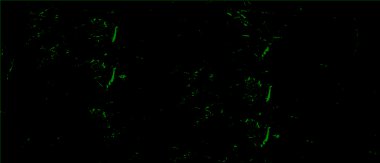 Grunge üst üste biniyor. Soyut siyah-beyaz vektör arkaplanı. Çatlak, leke ve noktalarda kirli desenli tek renkli klasik yüzey. Karanlık korku tarzında eski bir duvar.