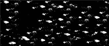 Soyut tek renkli arkaplan. Siyah ve beyaz vektör çizimi, desen  