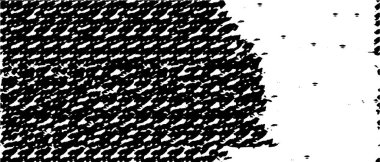 Soyut tek renkli arkaplan. Siyah ve beyaz vektör çizimi, desen  