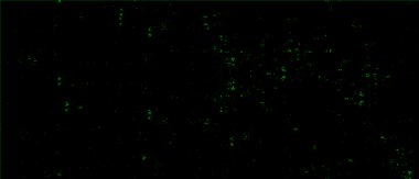 Grunge üst üste biniyor. Soyut siyah-beyaz vektör arkaplanı. Çatlak, leke ve noktalarda kirli desenli tek renkli klasik yüzey. Karanlık korku tarzında eski bir duvar.