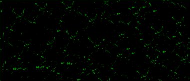 yaratıcı siyah ve beyaz soyut arkaplan.