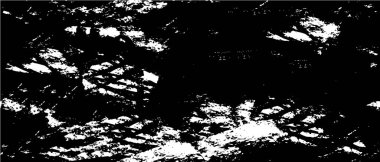 Siyah ve beyaz renklerde soyut yaratıcı arka plan. Moda tasarımı için doku, kumaş, tasarım, web sitesi, baskı. Soyut doku. vektör grafikleri