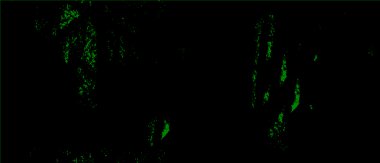 siyah ve beyaz soyut yaratıcı arkaplan