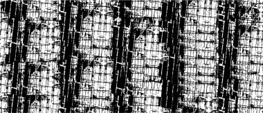 siyah ve beyaz grunge doku arkaplanı