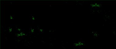 Soyut siyah ve beyaz grunge monokrom arkaplanı.   