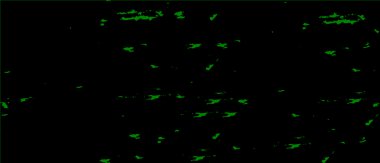 Soyut siyah ve beyaz grunge monokrom arkaplanı