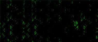 vektör soyut yeşil dokusu