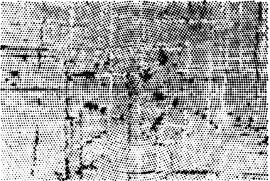 Vektör grunge dokusu. Metnin ya da resmin için boş olan eski kağıt