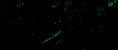 Vektör grunge dokusu. Metnin ya da resmin için boş olan eski kağıt