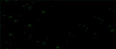 Vektör grunge dokusu. Metnin ya da resmin için boş olan eski kağıt