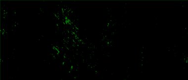 Vektör grunge dokusu. Metnin ya da resmin için boş olan eski kağıt