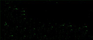 Vektör grunge dokusu. Metnin ya da resmin için boş olan eski kağıt