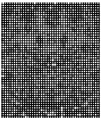 siyah ve beyaz vektör çizimi