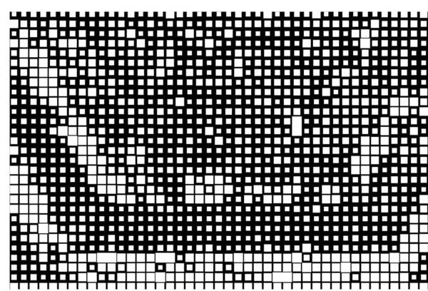 Tapety Inkoustem Pixelů Abstraktní Černobílý Plakát — Stockový vektor