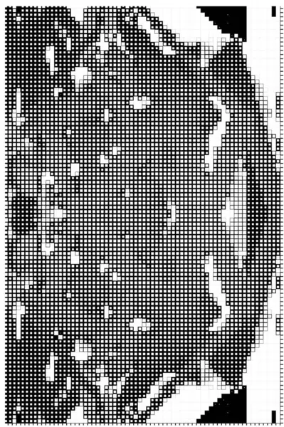 Abstrakt Svart Och Vitt Layout Affisch Med Kvadratiska Pixlar — Stock vektor