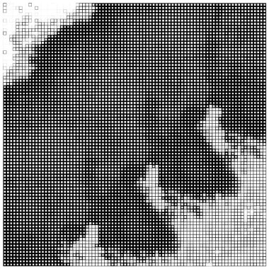 black and white texture. abstract overlay of the background. abstract background for design.