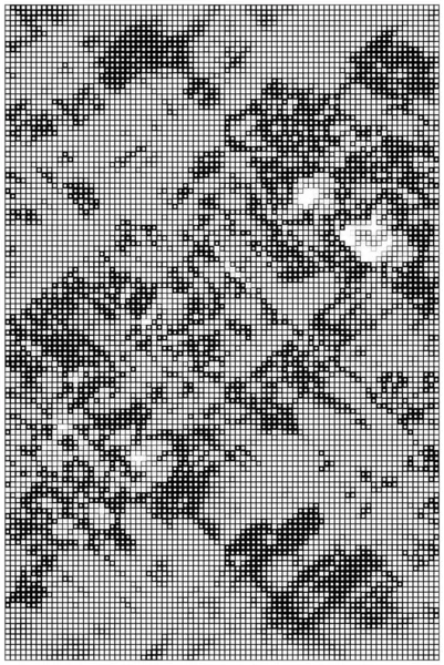 Abstrakter Vektor Kreativ Grunzig Monochrom Schwarz Und Weiß Strukturiert Hintergrund — Stockvektor