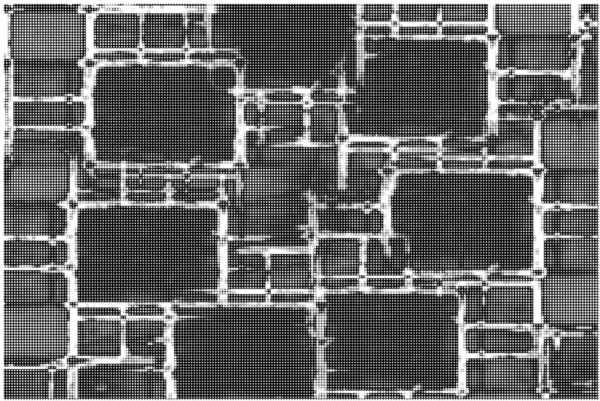 Kreative Abstrakte Grungy Monochrom Schwarz Weiß Vektor Textur Hintergrund — Stockvektor