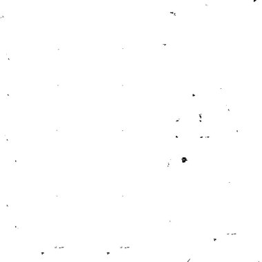 black and white texture. abstract grunge vector illustration. 