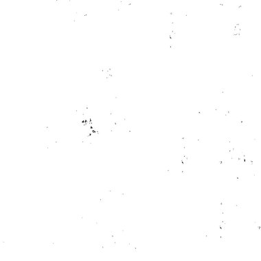 black and white texture. abstract grunge vector illustration. 