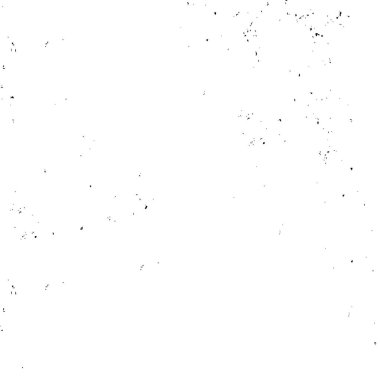 black and white texture. abstract grunge vector illustration. 