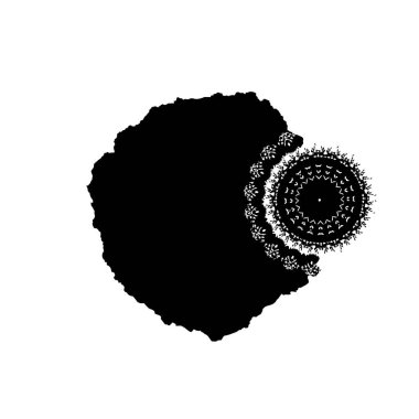  beyaz arkaplanda mürekkep fırçası darbesi