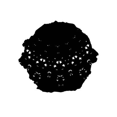  beyaz arkaplanda mürekkep fırçası darbesi