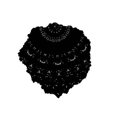 beyaz arkaplanda siyah grafik fırça darbesi