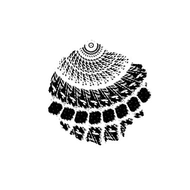 beyaz arkaplanda siyah grafik fırça darbesi