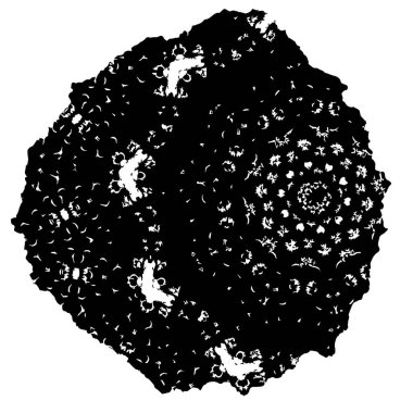 beyaz arkaplanda siyah grafik fırça darbesi