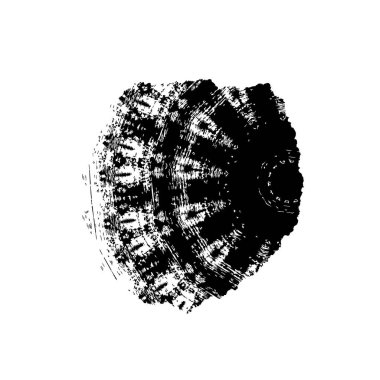 beyaz arkaplanda siyah grafik fırça darbesi