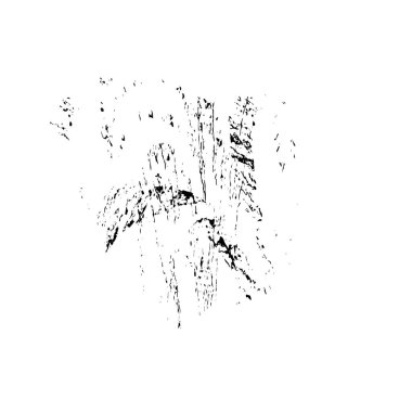 Beyaz arkaplanda soyut siyah fırça darbesi