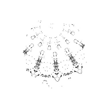 Beyaz arkaplanda soyut siyah fırça darbesi