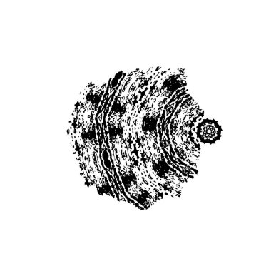 Beyaz arkaplanda soyut siyah fırça darbesi