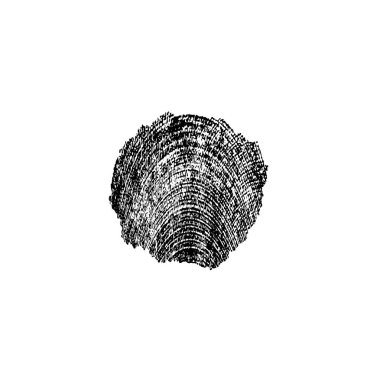 Beyaz arkaplanda soyut siyah fırça darbesi