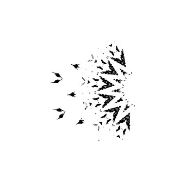 vektör siyah ve beyaz grunge arkaplan. tek renkli fırça darbesi