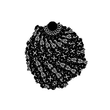 vektör siyah ve beyaz grunge arkaplan. tek renkli fırça darbesi