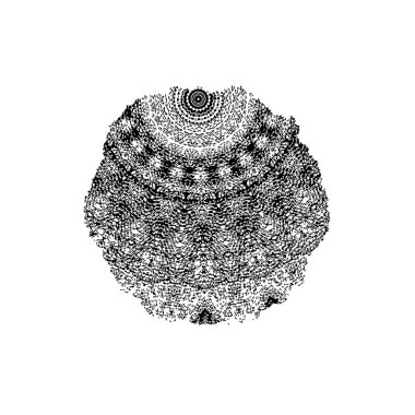 vektör siyah ve beyaz grunge arkaplan. tek renkli fırça darbesi