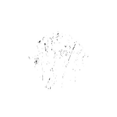 vektör siyah ve beyaz grunge arkaplan. tek renkli fırça darbesi