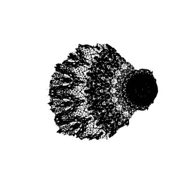 Beyaz arka plan üzerinde izole soyut fırça darbeleri