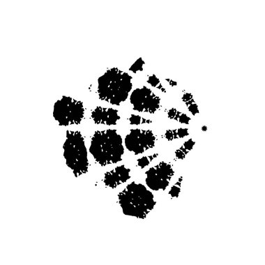 vektör grunge fırça darbesi