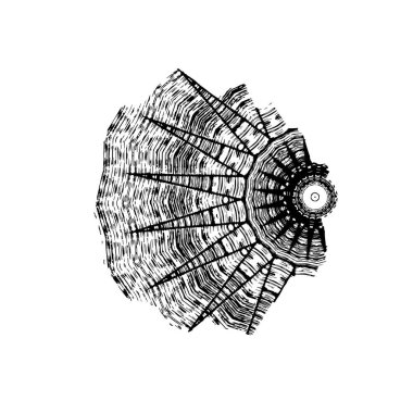 creative element of black brush stroke on white background 