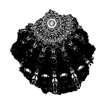 Beyaz arkaplanda soyut siyah mürekkep. 