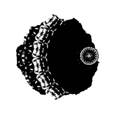 Beyaz arkaplanda soyut siyah mürekkep. 