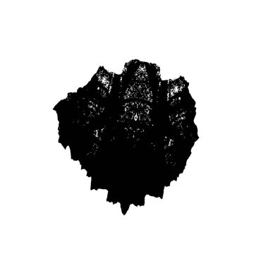 Beyaz arkaplanda soyut siyah mürekkep lekesi. 