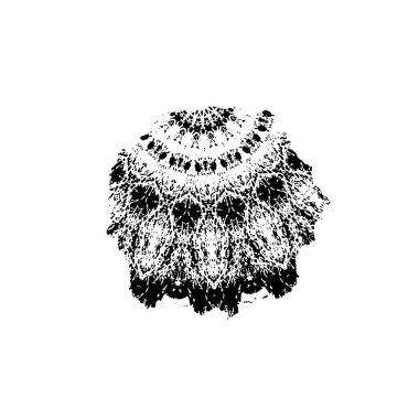 creative element of black brush stroke on white background 